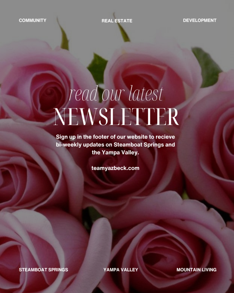 spring flowers background wmail newsletter image