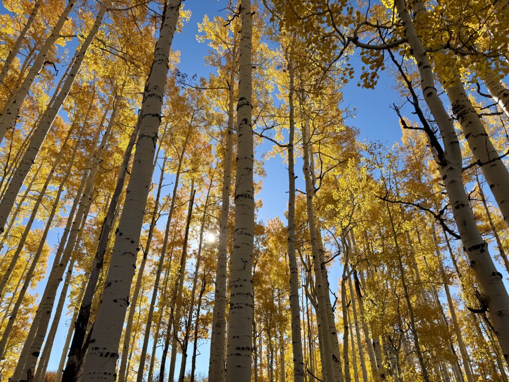 Fall in Steamboat Springs